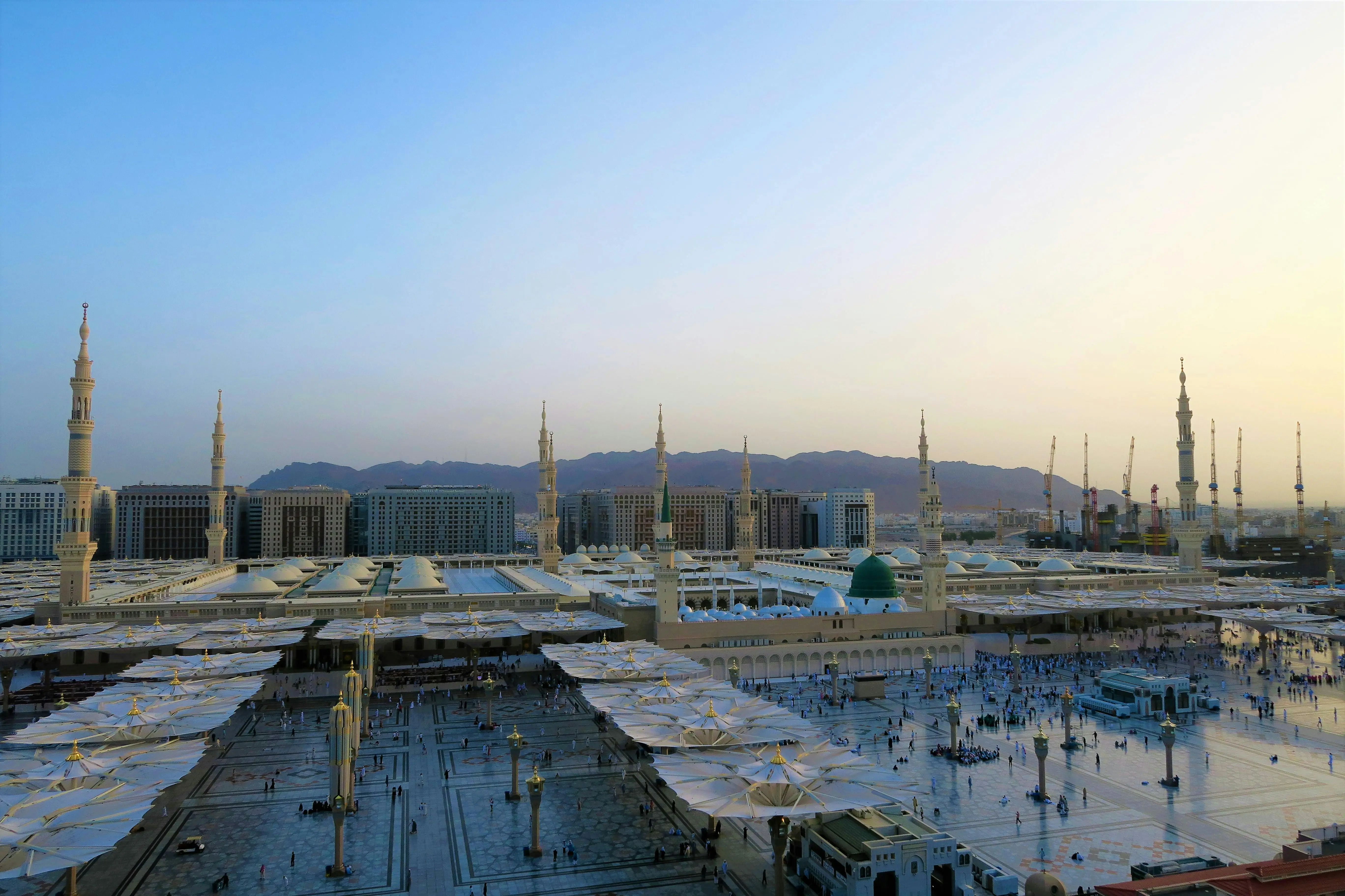 image_1